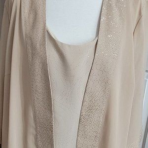 Gold Dressy Shell and Cover